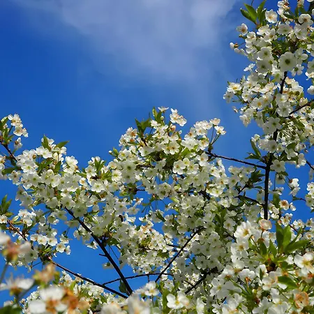 La Ferme - Les Du Moulin