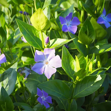 La Ferme - Les Du Moulin Holiday home *