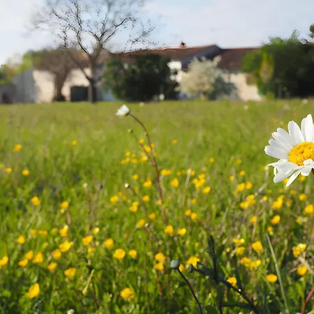 Tatil Evi La Ferme - Les Du Moulin
