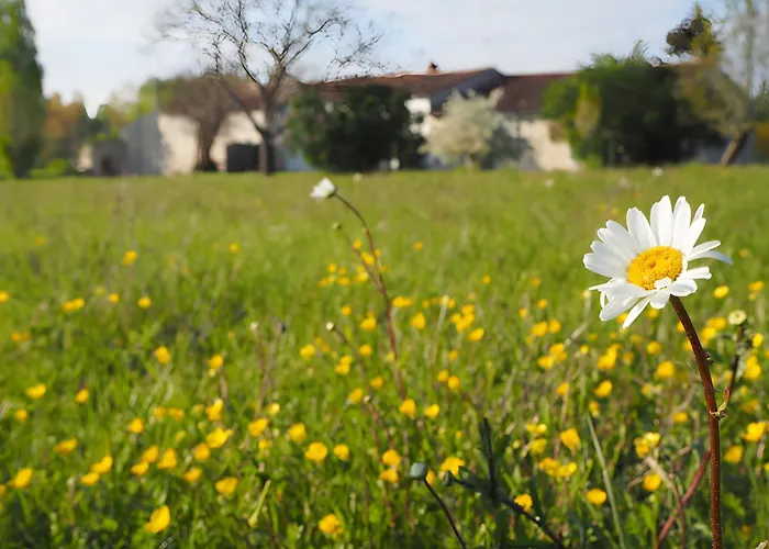 Holiday home La Ferme - Les Du Moulin Saint-Hilaire-la-Palud