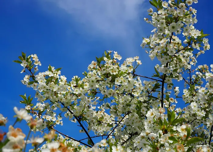 La Ferme - Les Du Moulin