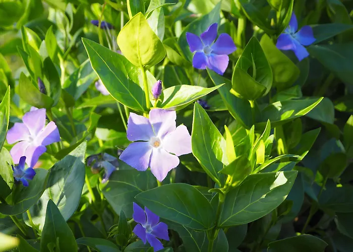 La Ferme - Les Du Moulin بيت للعطل *